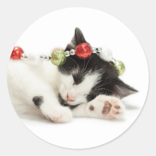 Weihnachtsmorgen Kitten Runder Aufkleber