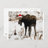 Weihnachtsmuck und Ente Feiertagspostkarte (Vorne/Hinten)