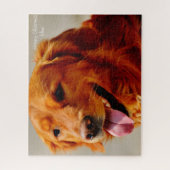 Weihnachtsmuschel Puzzle (Vertikal)