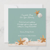 Weihnachtsmuscheln Starfish Sand Dollars Tropical Karte (Rückseite)