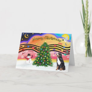 Weihnachtsmusik 2 - Berner Hund Feiertagskarte