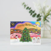 Weihnachtsmusik 2 - Bichon Frise (zwei) Feiertagspostkarte (Stehend Vorderseite)