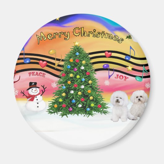 Weihnachtsmusik 2 - Bichon Frise (zwei) Magnet (Vorne)