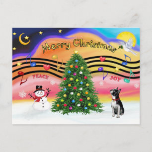 Weihnachtsmusik 2 - BostonTerrier2 Feiertagspostkarte