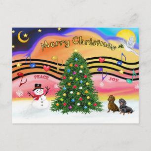 Weihnachtsmusik 2 - Dackeln (zwei) Feiertagspostkarte