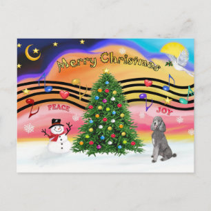 Weihnachtsmusik 2 - Poodle (Silver Standard) Feiertagspostkarte