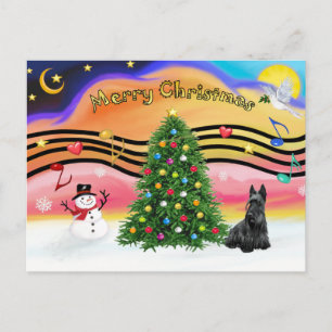 Weihnachtsmusik 2 - Schottischer Terrier Feiertagspostkarte