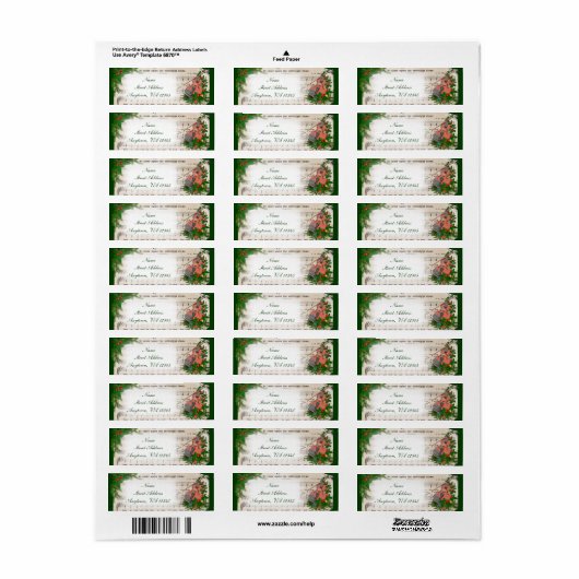 Weihnachtsmusik mit festlicher Geige (Vorne)