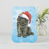 Weihnachtsneufundland Feiertagskarte (Stehend Vorderseite)