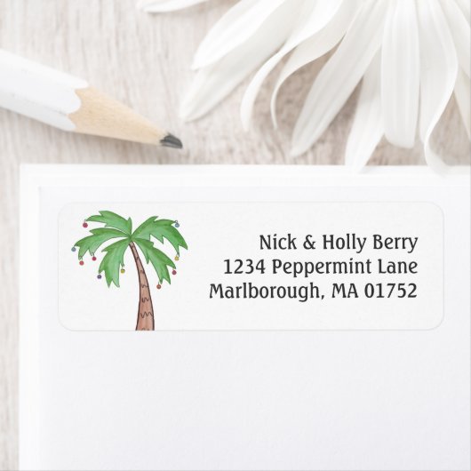 Weihnachtspalme (Insitu)