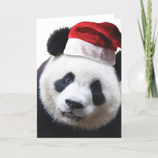 Weihnachtspanda-Bär Feiertagskarte