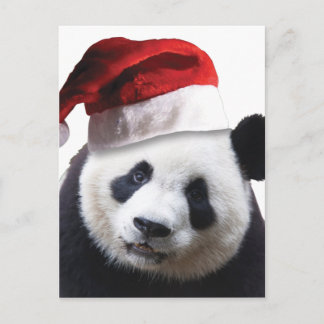 Weihnachtspanda-Bär Feiertagspostkarte