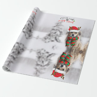 Weihnachtspapier für den Hund Geschenkpapier