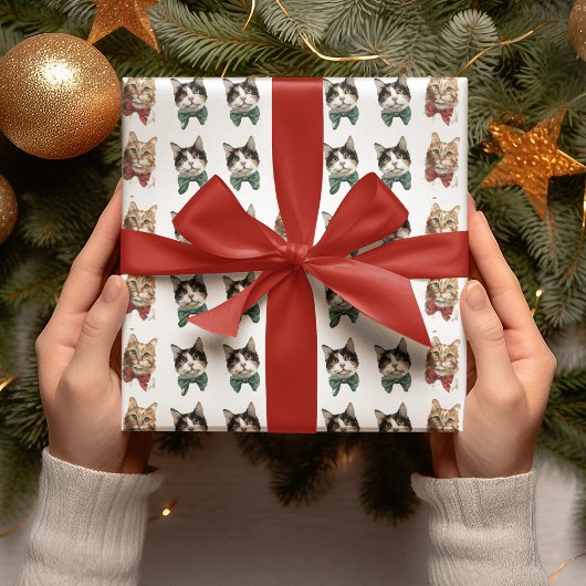 Weihnachtspapier mit festlichen Katzen Geschenkpapier