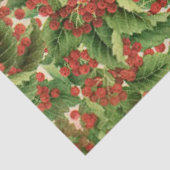 Weihnachtspapier Seidenpapier (Ausschnitt)