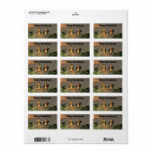 Weihnachtspenguinen Adressaufkleber (Vorne)