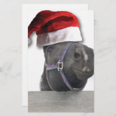Weihnachtspferd Briefpapier (Vorne/Hinten)