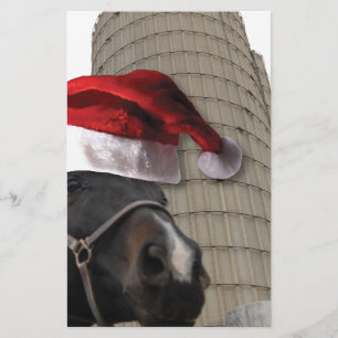 Weihnachtspferd Briefpapier