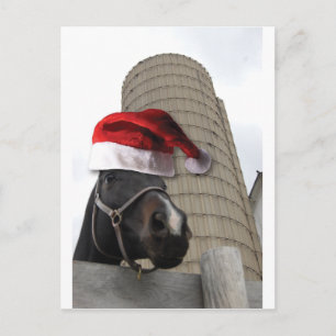 Weihnachtspferd Feiertagspostkarte