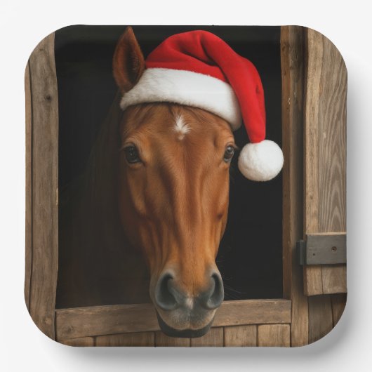 Weihnachtspferd im Stallfenster Pappteller (Vorderseite)