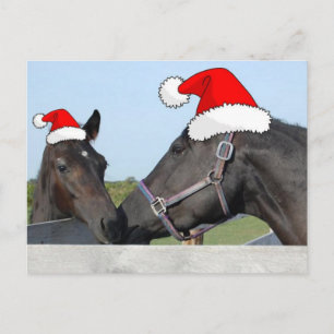 Weihnachtspferd & Pony Feiertagspostkarte