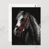 Weihnachtspferd Postkarte (Vorne/Hinten)