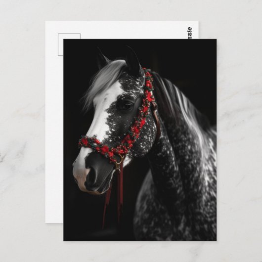 Weihnachtspferd Postkarte (Vorne/Hinten)