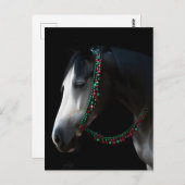 Weihnachtspferd Postkarte (Vorne/Hinten)