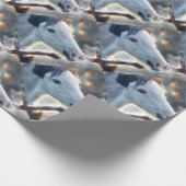 Weihnachtspferd und wunderschönes Eule Geschenkpapier (Ecke)