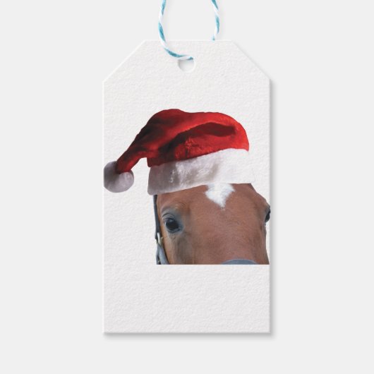 Weihnachtspferd Weihnachtsmannmütze Geschenkanhänger (Vorderseite)