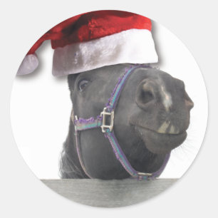 Weihnachtspferd Weihnachtsmannmütze Runder Aufkleber