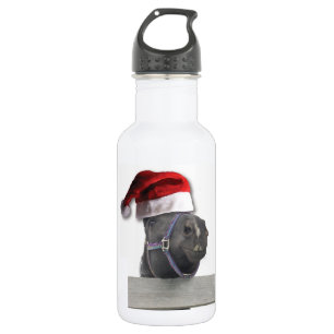 Weihnachtspferd Weihnachtsmannmütze Trinkflasche