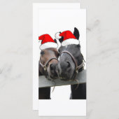 Weihnachtspferde (Vorne/Hinten)