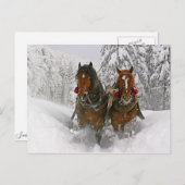 Weihnachtspferde Feiertagspostkarte (Vorne/Hinten)