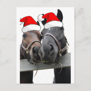 Weihnachtspferde Feiertagspostkarte