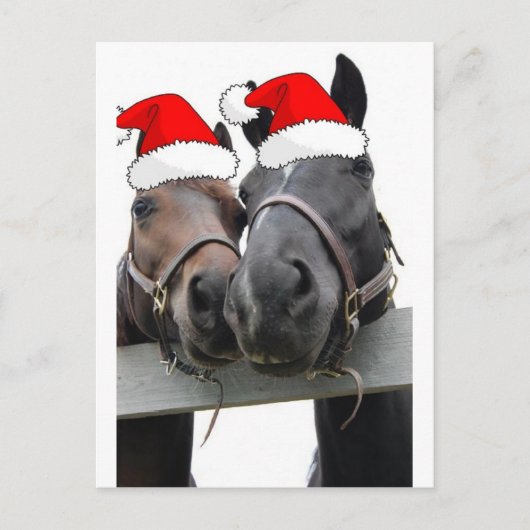 Weihnachtspferde Feiertagspostkarte (Vorderseite)