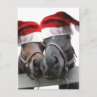 Weihnachtspferde mit Weihnachtsmannmützen Feiertagspostkarte