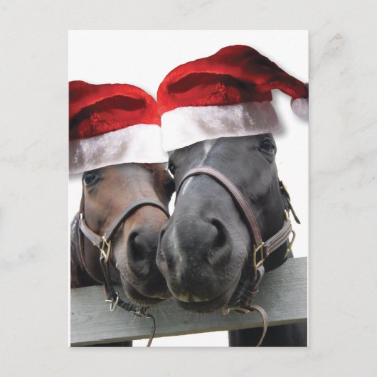 Weihnachtspferde mit Weihnachtsmannmützen Feiertagspostkarte (Vorderseite)