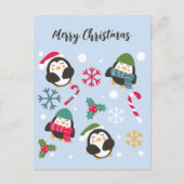 Weihnachtspinguin Postkarte (Vorderseite)