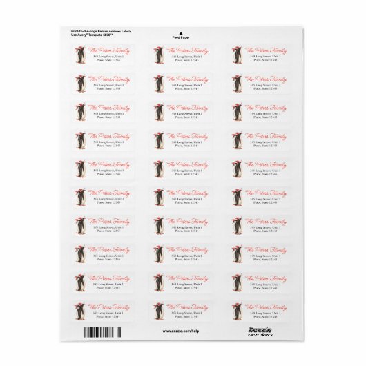 Weihnachtspinguine | Address Return Labels (Vorne)