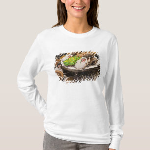 Weihnachtsplätzchen auf Anzeige in einem New York T-Shirt