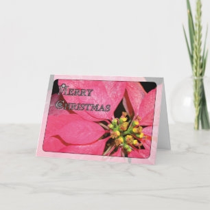 Weihnachtspoinsettia Feiertagskarte