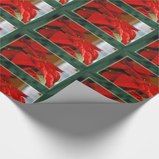 Weihnachtspoinsettia-Packpapier Geschenkpapier (Ecke)