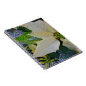 Weihnachtspoinsettie Notizblock (Rechte Seite)