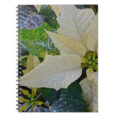 Weihnachtspoinsettie Notizblock (Vorderseite)