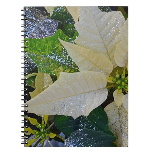 Weihnachtspoinsettie Notizblock (Vorderseite)