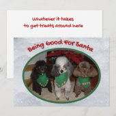 Weihnachtspoodles sind gut für Weihnachten (Vorne/Hinten)