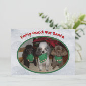 Weihnachtspoodles sind gut für Weihnachten (Stehend Vorderseite)