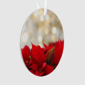 Weihnachtspost Ornament (Vorderseite)