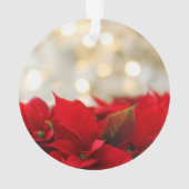 Weihnachtspost Ornament (Rückseite)